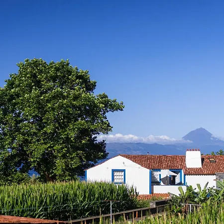 Casas Dos Vimes Alojamento de Turismo Rural
