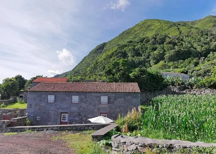 Casas Dos Vimes Farma *